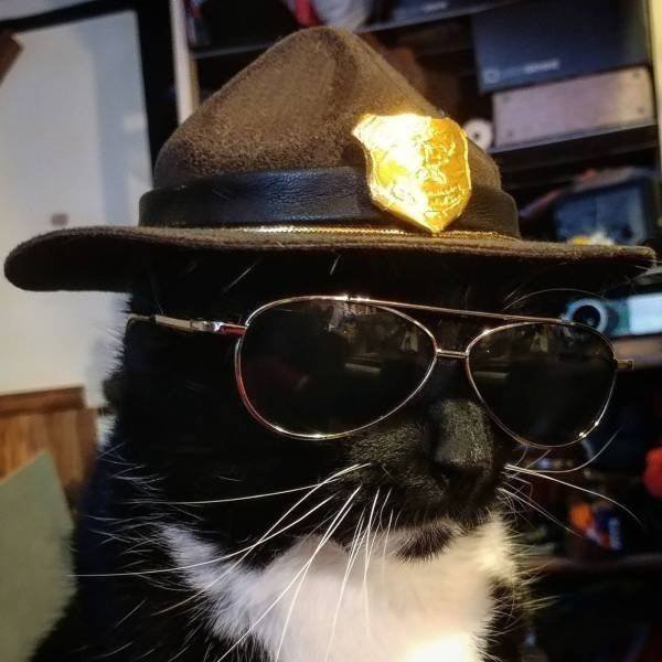 Acid Picdump. Part 2 (95 pics)
