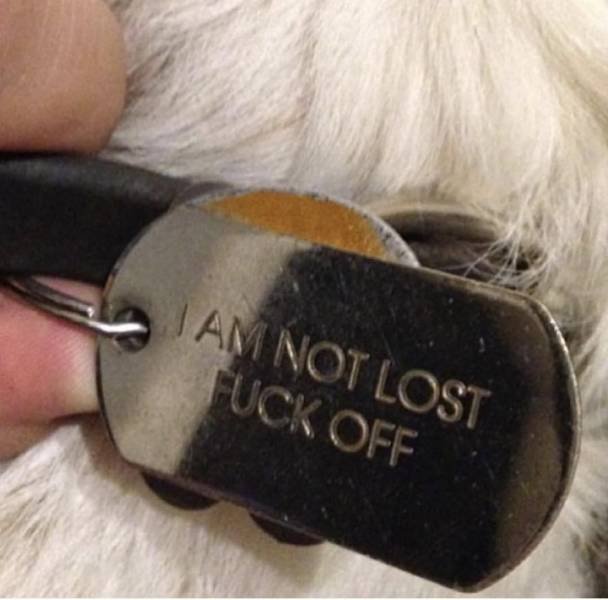 Acid Picdump. Part 2 (95 pics)