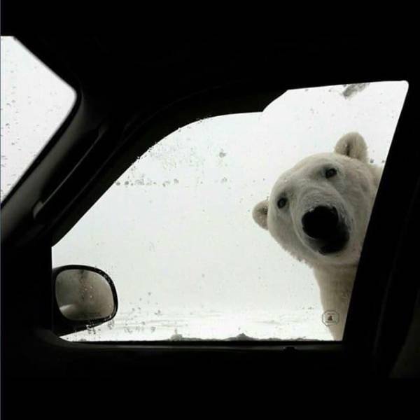 Acid Picdump. Part 2 (95 pics)