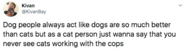 Funny Tweets (53 pics)