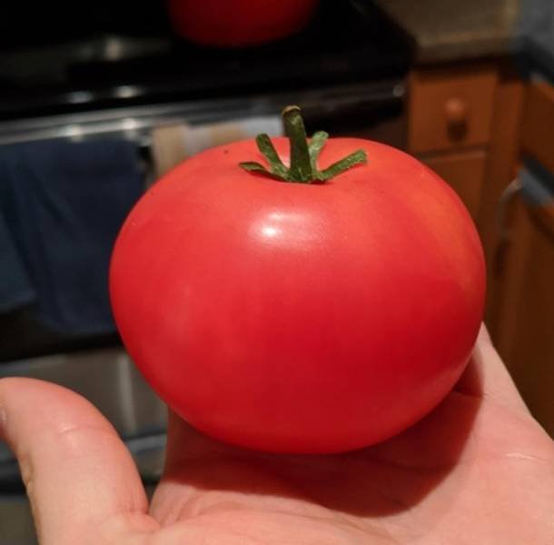 Perfection Is Possible (41 pics)