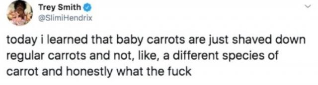 Funny Tweets (53 pics)