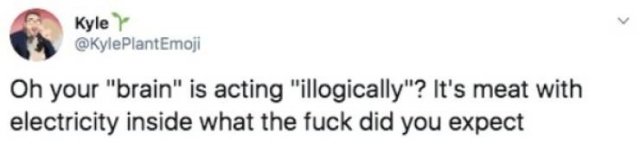Funny Tweets (53 pics)