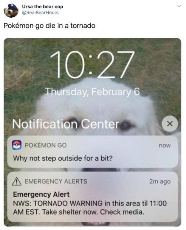 Funny Tweets (53 pics)