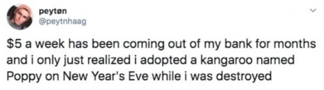 Funny Tweets (53 pics)