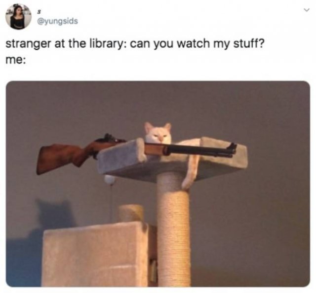 Funny Tweets (53 pics)