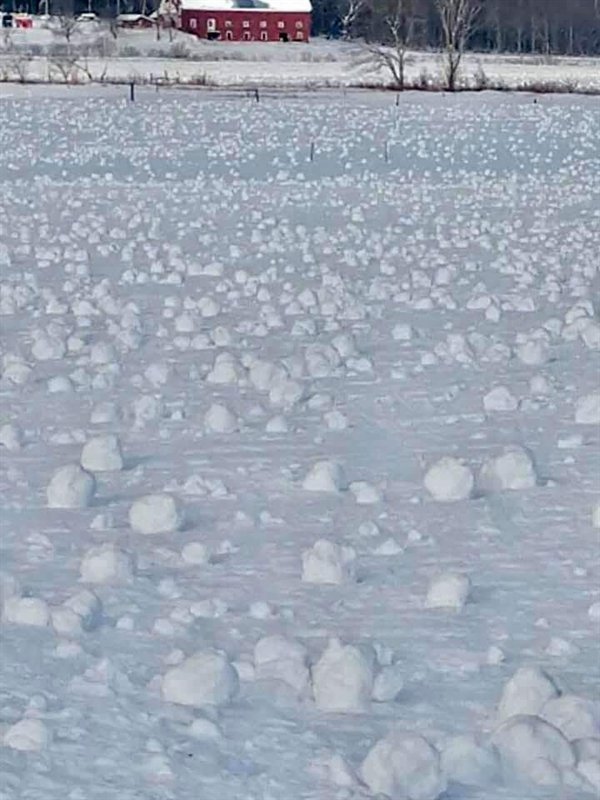 These Things Are Fascinating (30 pics) These Things Are Fascinating (30 pics)