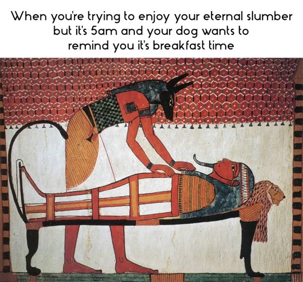 Ancient Memes (30 pics)