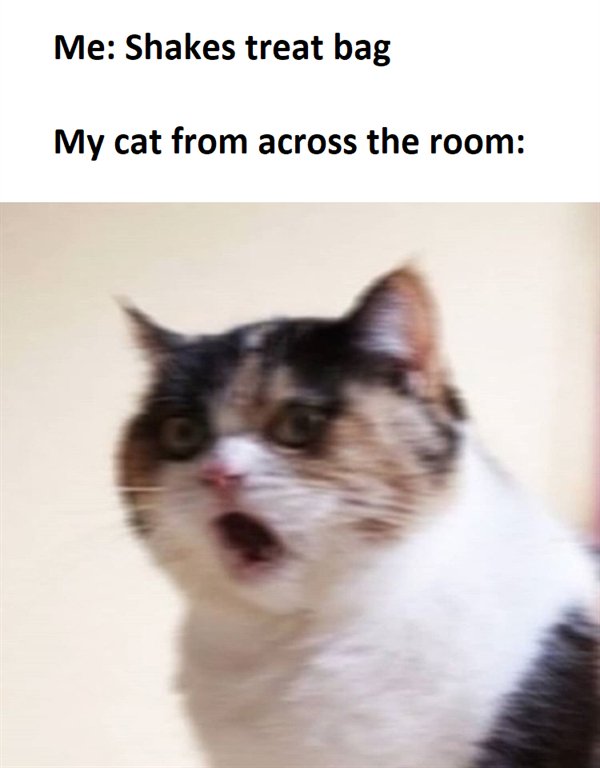 Random Funny Memes (30 pics)