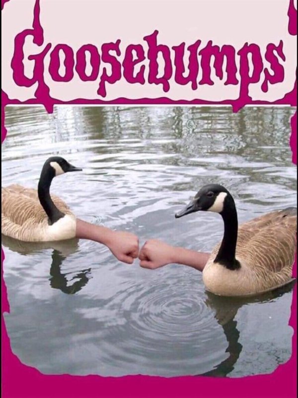 Random Funny Memes (30 pics)