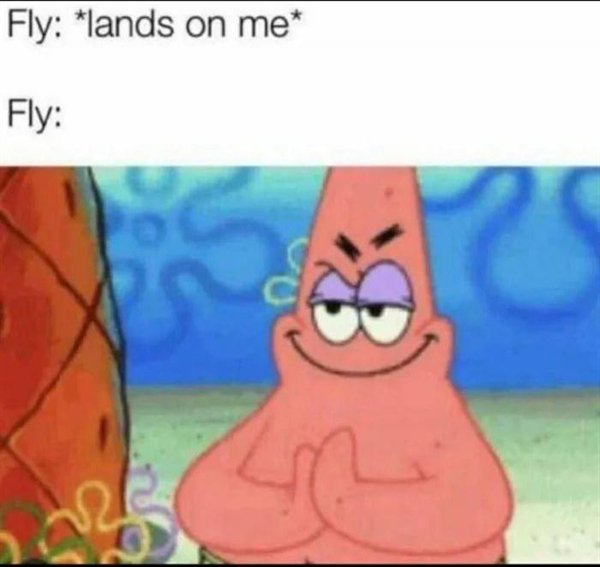 Random Funny Memes (30 pics)