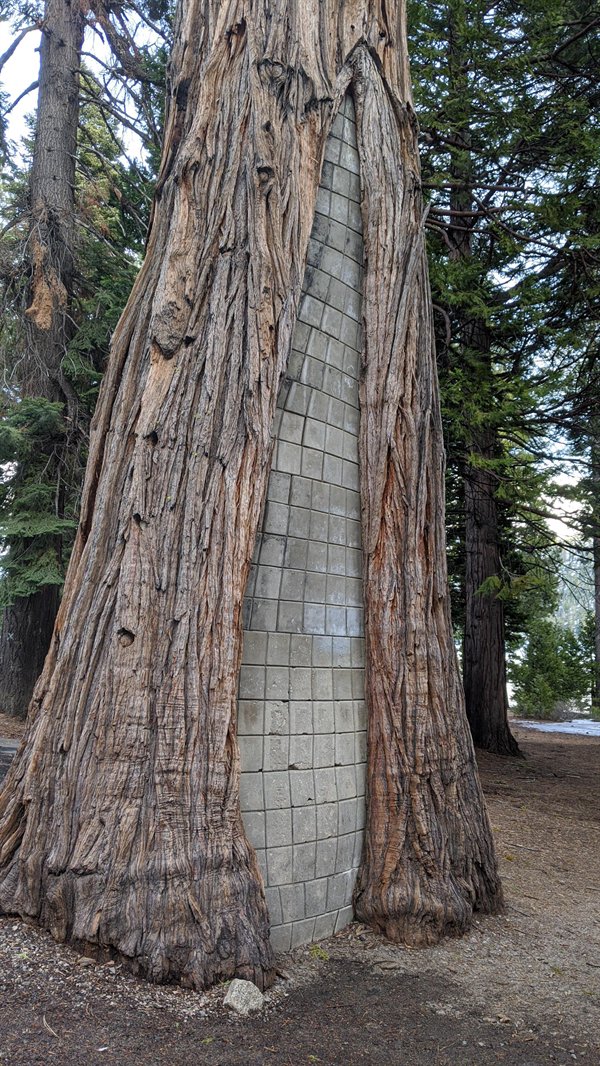 These Things Are Fascinating (30 pics) These Things Are Fascinating (30 pics)