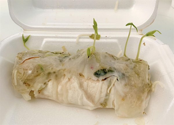 These Things Are Fascinating (30 pics) These Things Are Fascinating (30 pics)