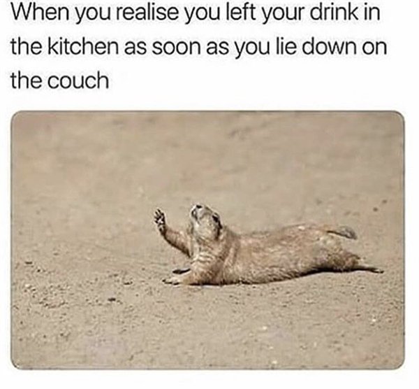 Random Funny Memes (30 pics)