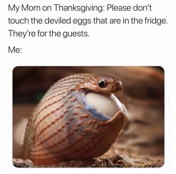 Random Funny Memes (30 pics)