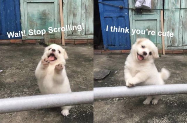 Acid Picdump. Part 2 (98 pics)