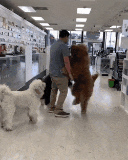 Acid Gifdump, March 02 (25 gifs)