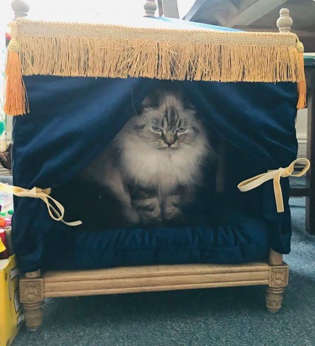 Thrift Stores Treasures (30 pics)
