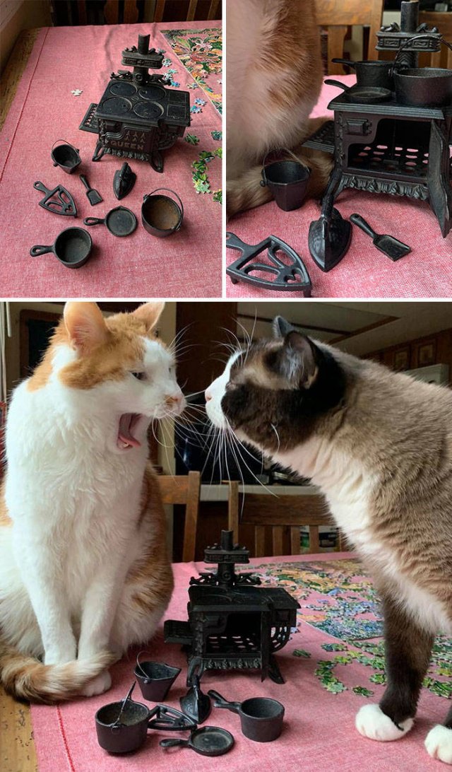 Thrift Stores Treasures (30 pics)