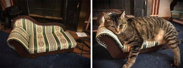 Thrift Stores Treasures (30 pics)