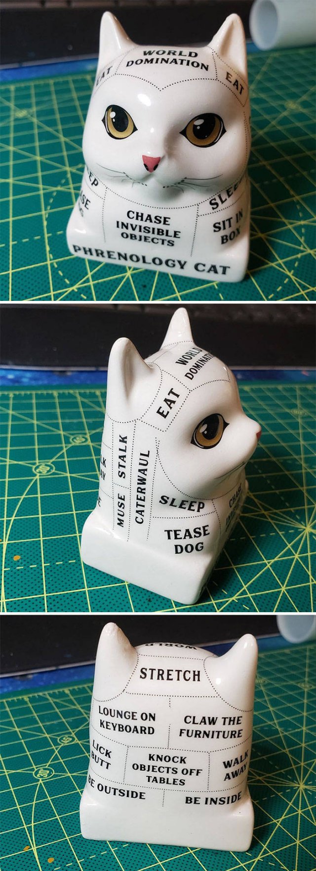Thrift Stores Treasures (30 pics)