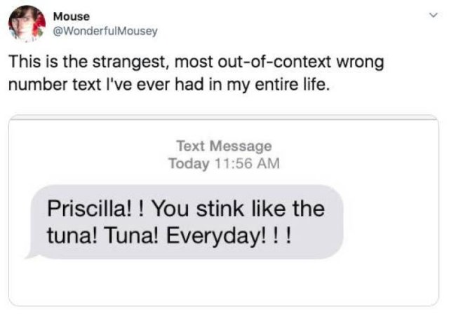 Wrong Number Texts (18 pics)