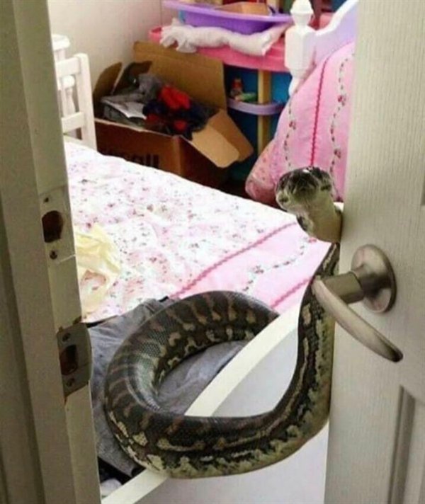 Explanation Needed (25 pics)