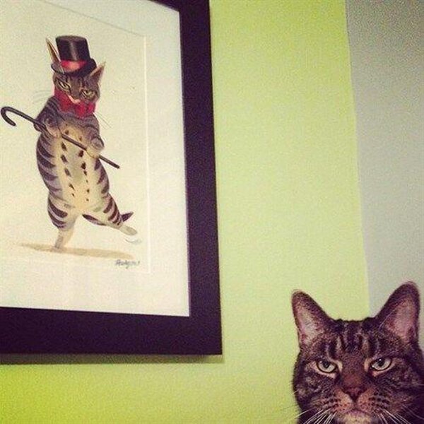 Explanation Needed (25 pics)