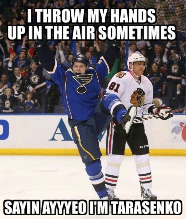 Hockey Memes (40 pics)