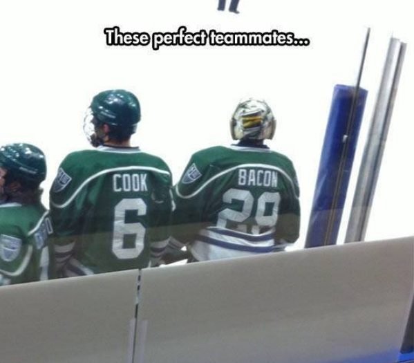 Hockey Memes (40 pics)