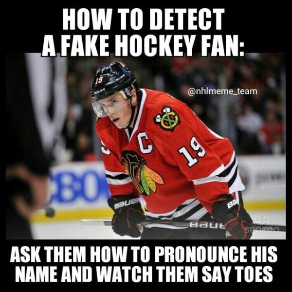 Hockey Memes (40 pics)