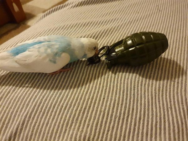 Explanation Needed (25 pics)