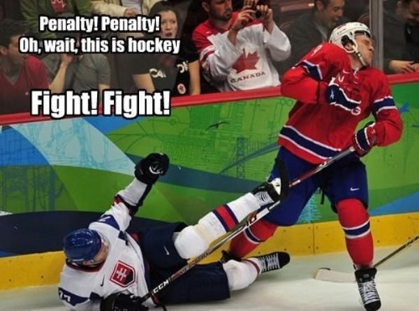 Hockey Memes (40 pics)