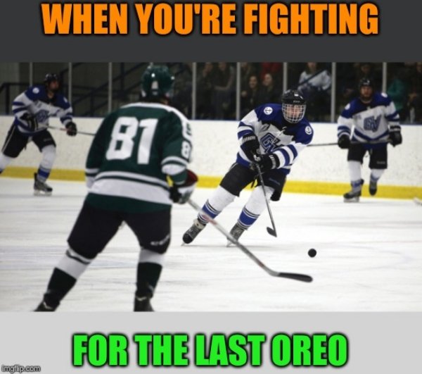 Hockey Memes (40 pics)