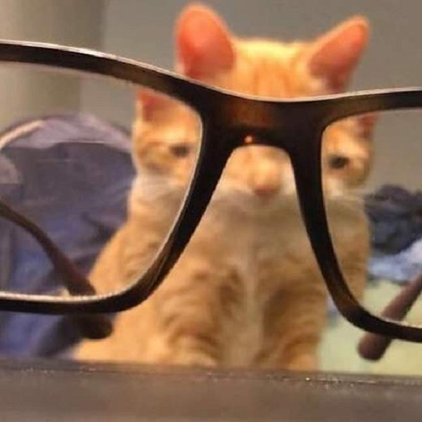 Explanation Needed (25 pics)