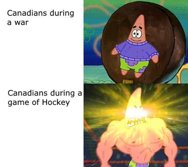 Hockey Memes (40 pics)