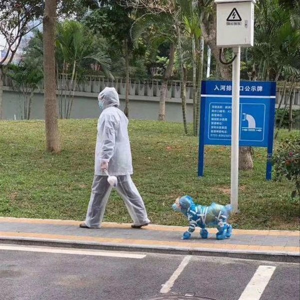 Explanation Needed (25 pics)