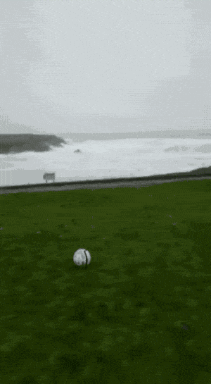 Fails (13 gifs)