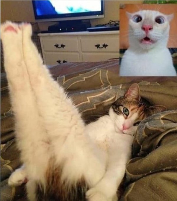 Dirty Humor (42 pics)