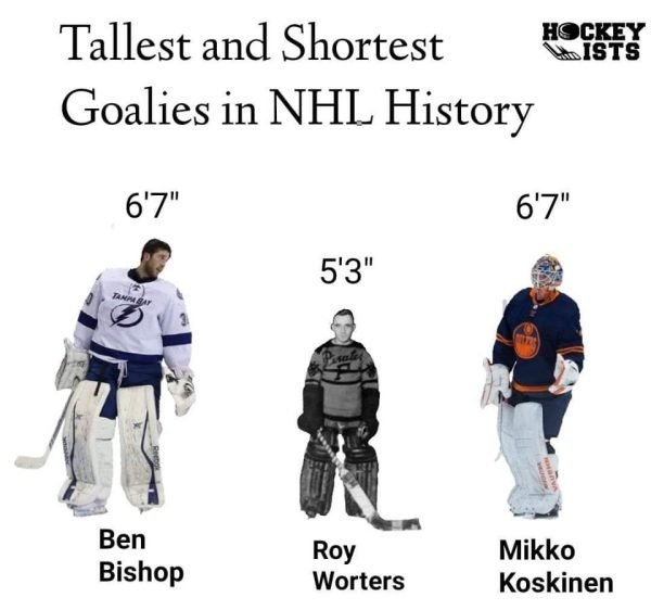 Hockey Memes (40 pics)