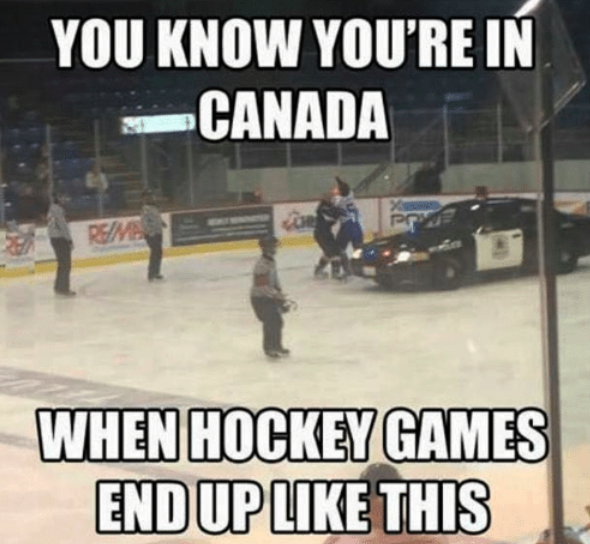 Hockey Memes (40 pics)