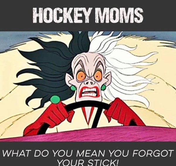 Hockey Memes (40 pics)