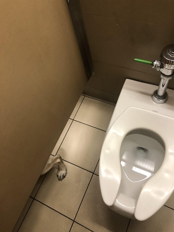 Explanation Needed (25 pics)