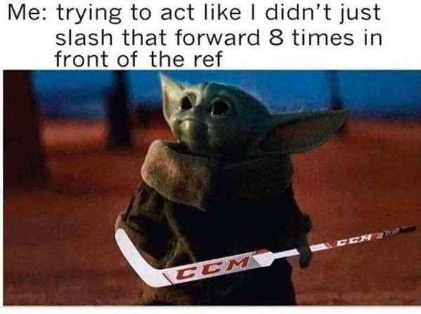 Hockey Memes (40 pics)