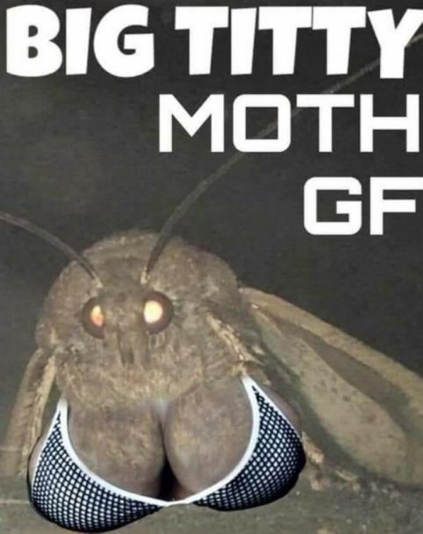 Dirty Humor (42 pics)