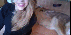 Fails (13 gifs)