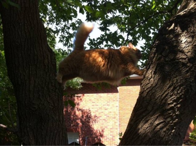 Bad Days Happen (50 pics)