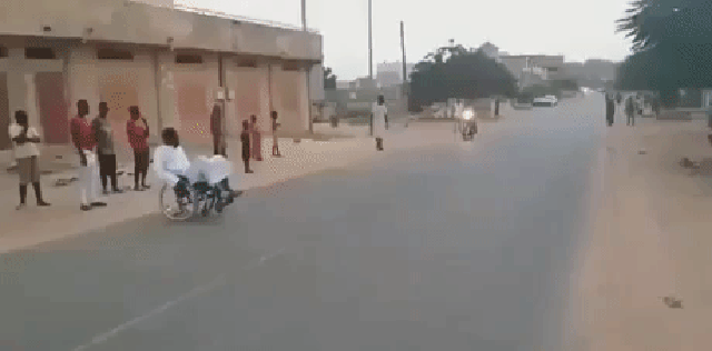 Acid Gifdump, March 3 (25 gifs)