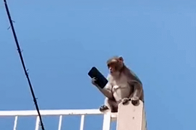 Acid Gifdump, March 3 (25 gifs)
