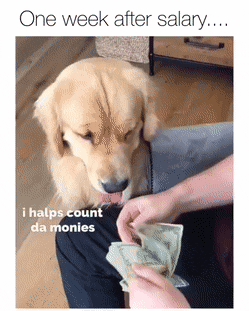 Acid Gifdump, March 3 (25 gifs)